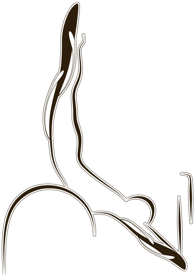 Katanzama - Pilates Circuito & Rehabilitación